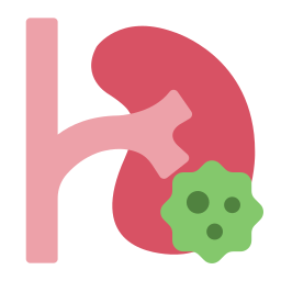 cáncer de riñón icono