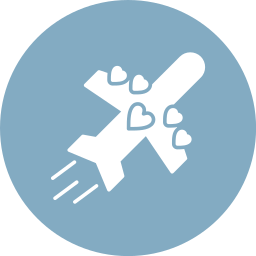 Aeroplane icon
