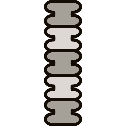 Spine icon