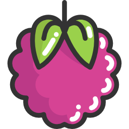 Raspberry icon