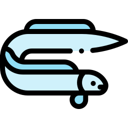 Anguila icono