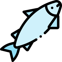 Salmon icon