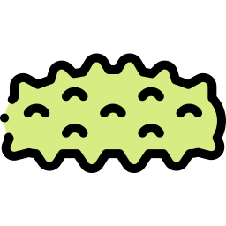 Sea cucumber icon