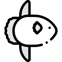 pesce luna icona