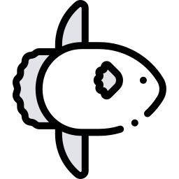 Sunfish icon