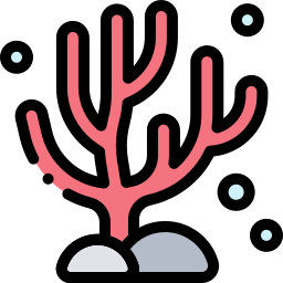 Coral icono