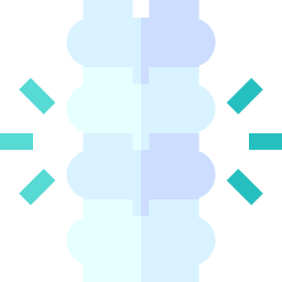 Spine icon