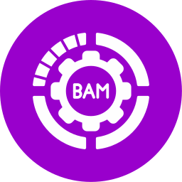 gestión de activos de marca icono