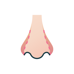 Aumento nasal icono