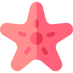 estrella de mar icono