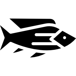 pescado icono