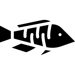 Fish icon