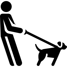 Дрессировка собак иконка