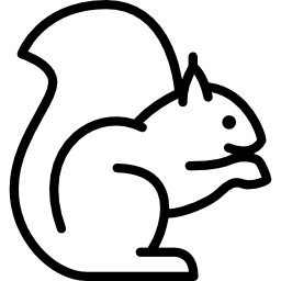eekhoorn icoon