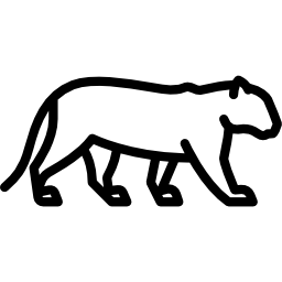 tygrys syberyjski ikona