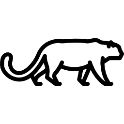 schneeleopard icon