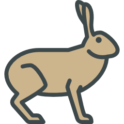 Hare icon