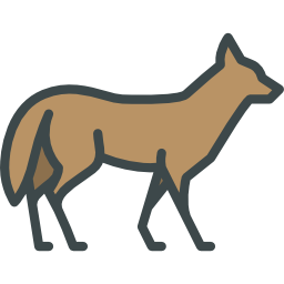 coyote icoon