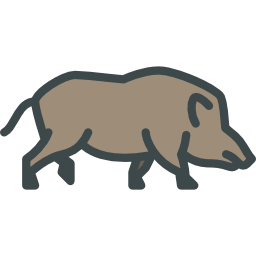 Boar icon