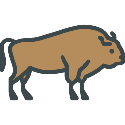 Bison icon