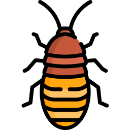 scarafaggio sibilante del madagascar icona