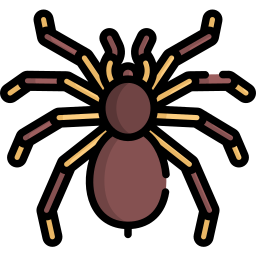 tarantula ikona