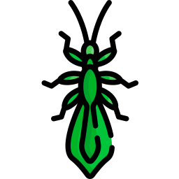 owad liściasty ikona