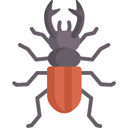 Beetle icon