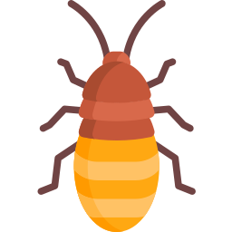 Cucaracha gigante de madagascar icono