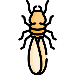 termite Icône