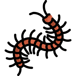 Centipede icon