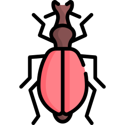 갑충 icon