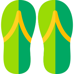 Flip flops icon