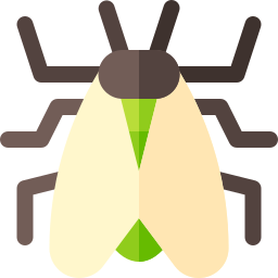 Cicada icon