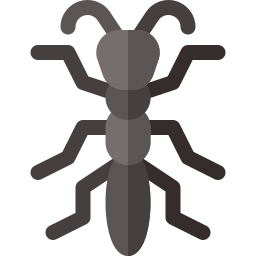 Tree lobster icon