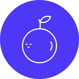 Orange icon