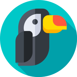 Toucan icon