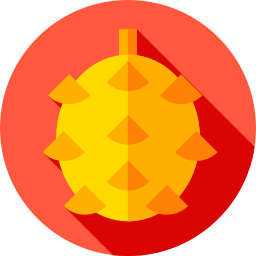 Durian icono