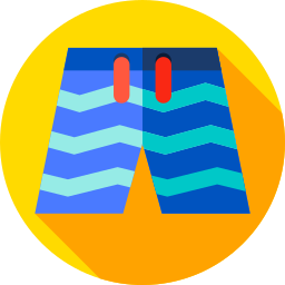 Swimsuit icon