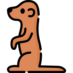Meerkat Ícone