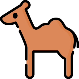 kamel icon