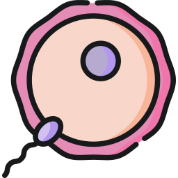 óvulo icono