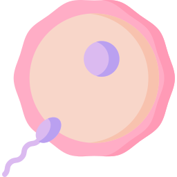 óvulo Ícone