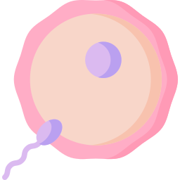 ovule Icône