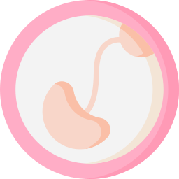 Embarazo icono