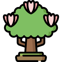 Magnolia icon