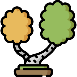 Birch icon