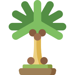 kokosnussbaum icon