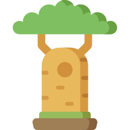 Baobab icono
