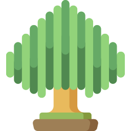 eucalipto icona